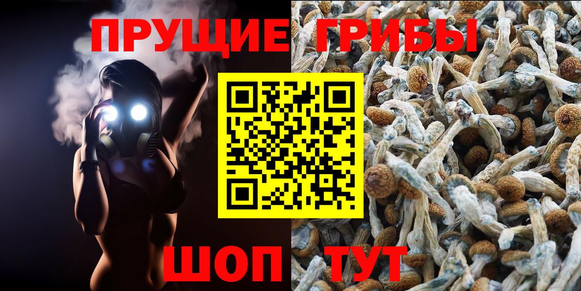 Псилоцибиновые грибы MAGIC MUSHROOMS Ипатово