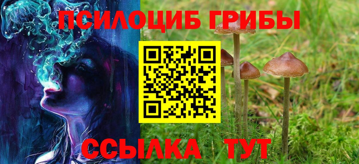 закладка  Вход с VPN  Ипатово  Псилоцибиновые грибы прущие грибы 
